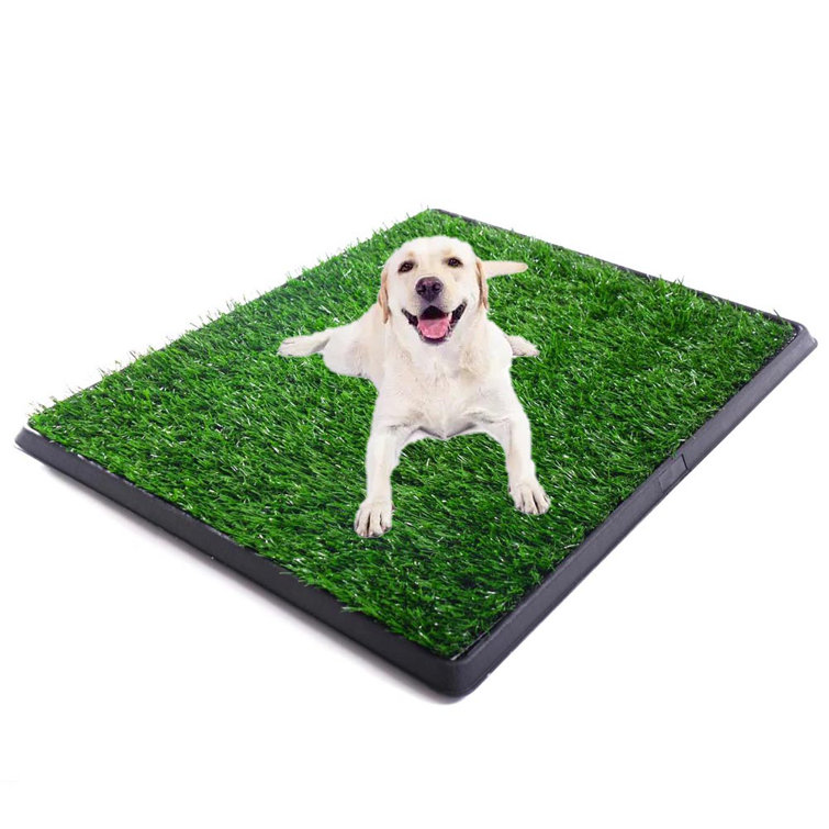 Tucker Murphy Pet™ Hot Sale Artificial Dog Grass Mat, Indoor Potty